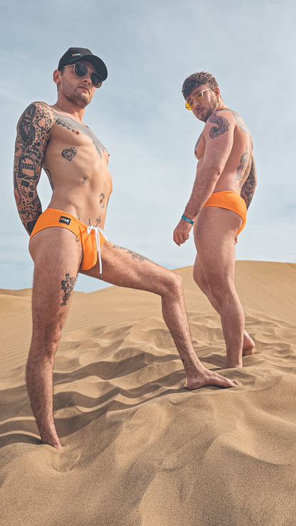 Swim Briefs