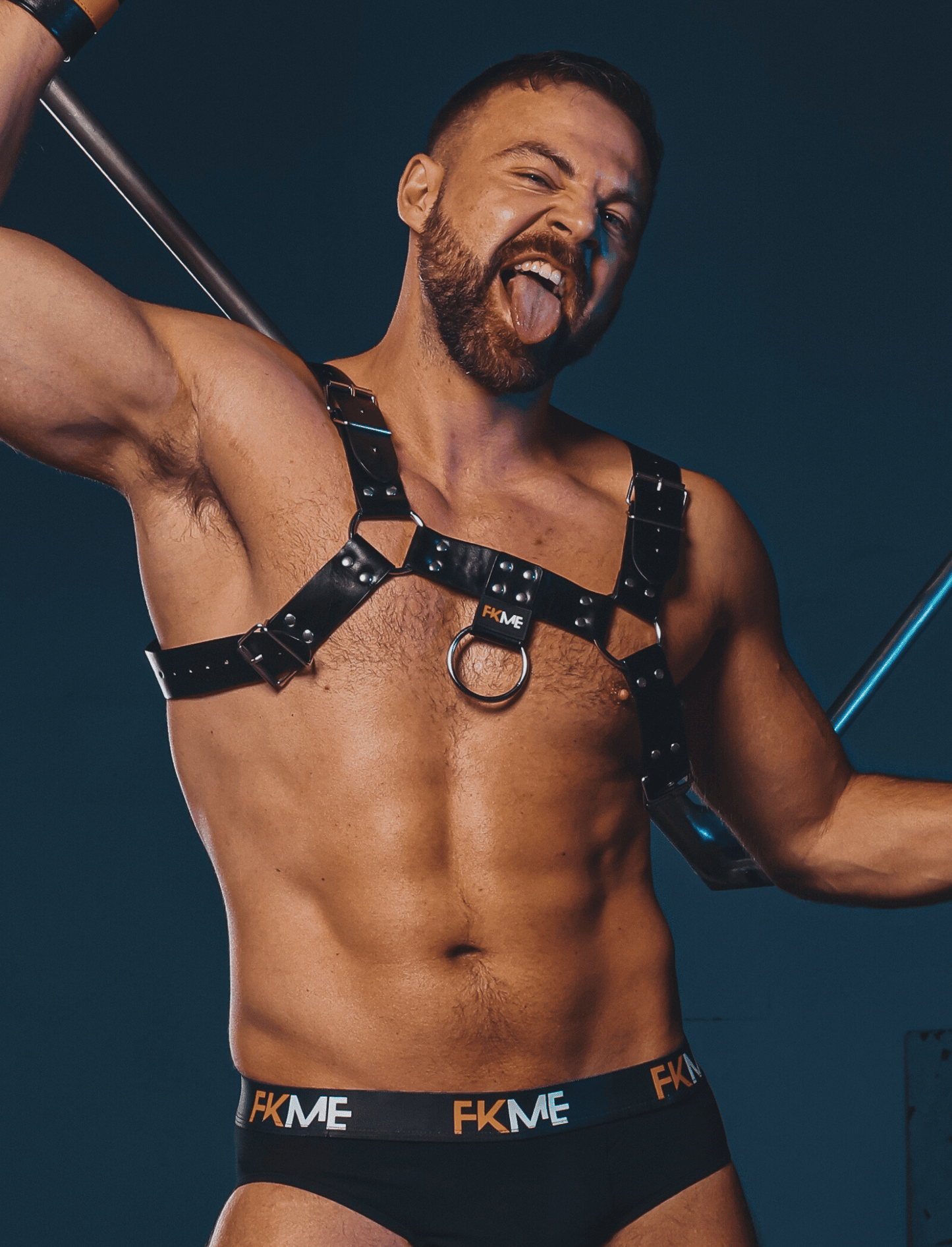 Harness